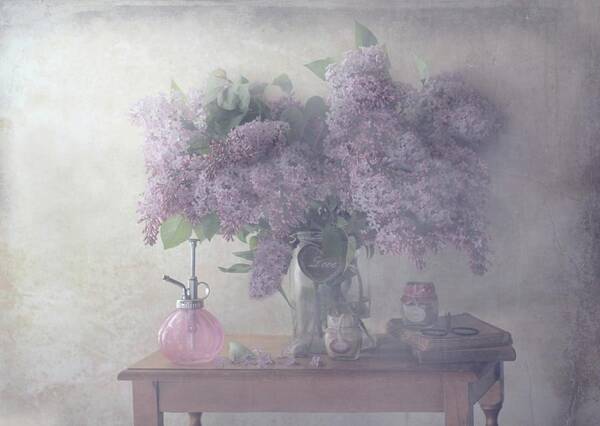 Wall Art - Photograph - Sweet Lilacs by Delphine Devos