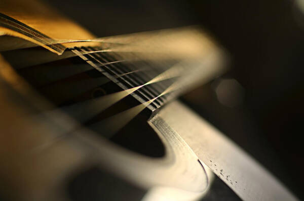 Close-Up of Acoustic Guitar Strings Photograph
