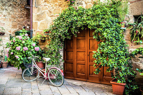 Wooden Gate With Plants In An Ancient Art Print