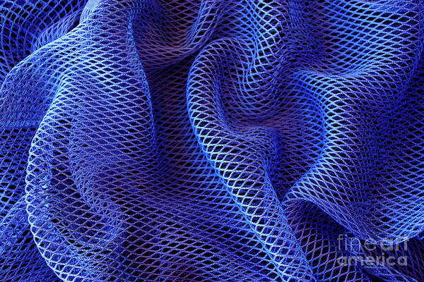 Wall Art - Photograph - Blue Net Background by Carlos Caetano