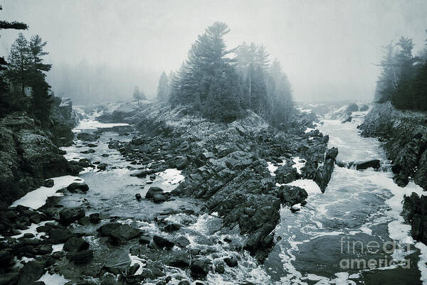 Fork In The Fog Art Print