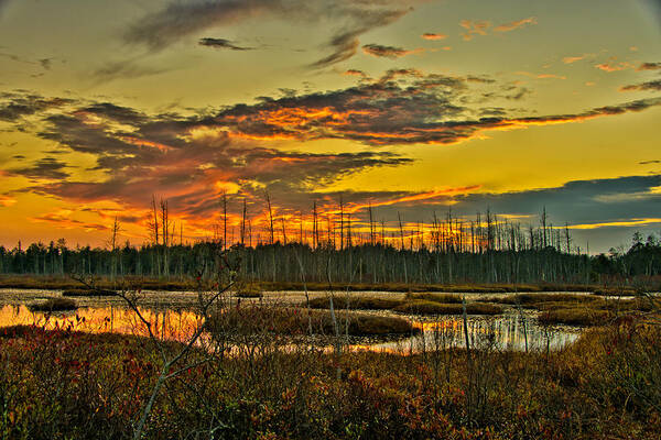  Photograph - An November Sunset in the Pines by Louis Dallara