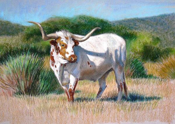 Wall Art - Painting - Longhorn Bull by Sue Halstenberg