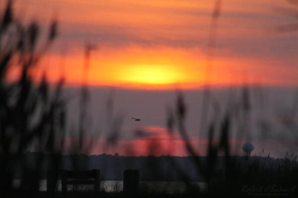 Sunset Over The Reeds Art Print