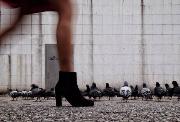 Wall Art - Photograph -  by Ali Ayer