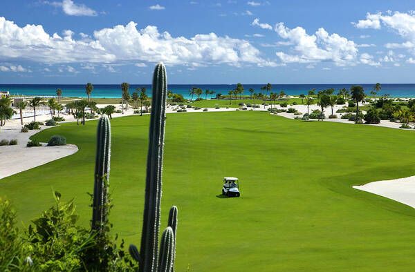 Golf Course, Dominican Republic #2 Art Print