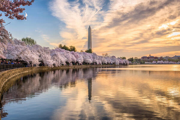 Washington Dc, Usa At The Tidal Basin #2 Art Print