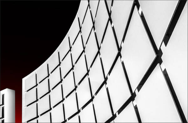 Wall Art - Photograph - Flashback by Gilbert Claes