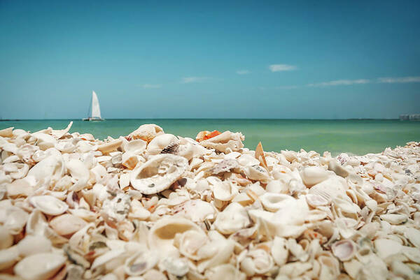Wall Art - Digital Art - Sailboat, Sanibel Island, Fl by Gabriel Jaime Jimenez