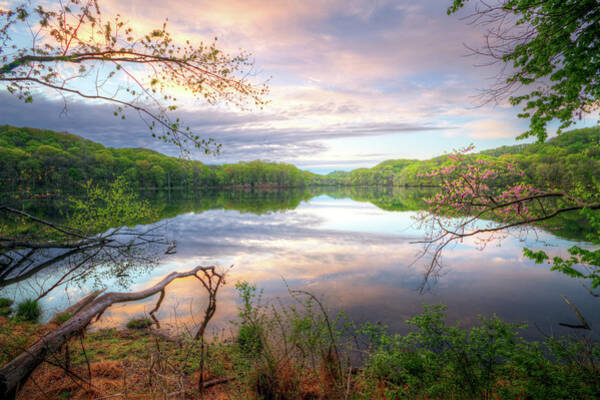 Wall Art - Photograph - Spring At Radnor Lake by Malcolm Macgregor