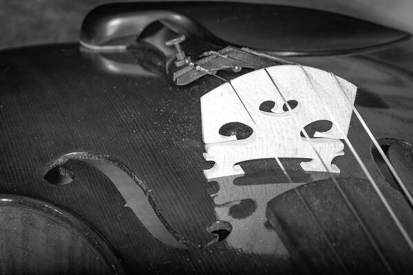 Strings Series 35 Art Print