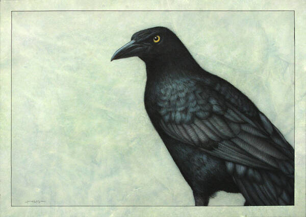 Grackle Art Print