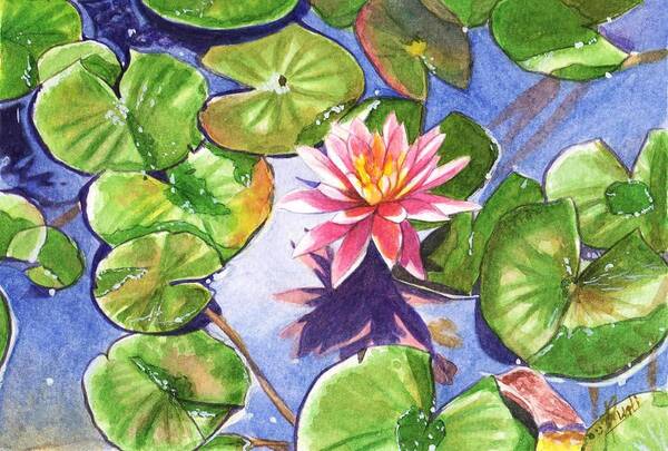  Painting - Lily in the pond by Swati Singh