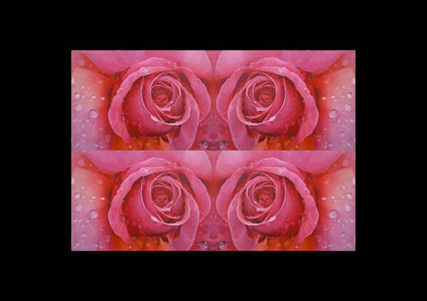  Digital Art - Repeated Pattern Pink Roses Of Love by Andreaa Liew