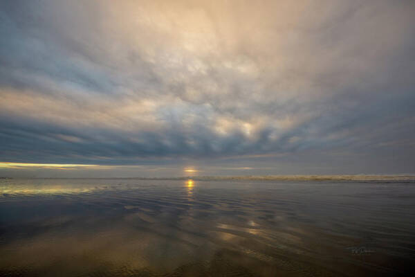 Sunlit Shore Art Print