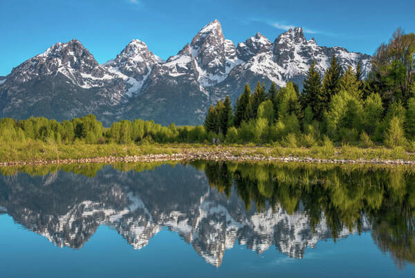 Tetons In Color Art Print