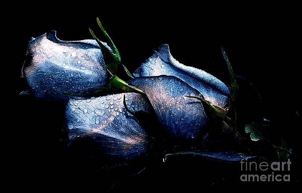  Painting - Art Blue Roses Tattooed by Catherine Lott