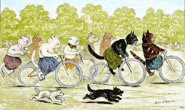 Cats In A Bicycle Race, Hyde Park, 1896 Art Print