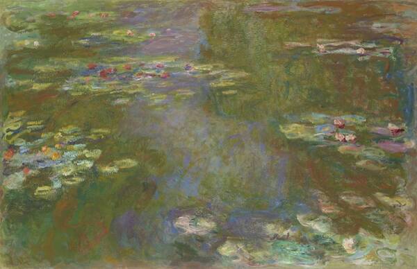 Water Lily Pond Art Print