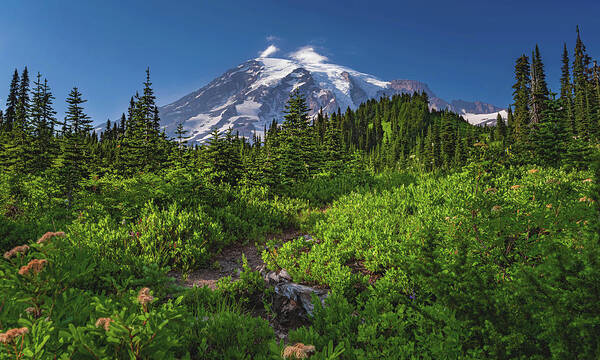 Mount Rainier, Paradise, Washington Art Print