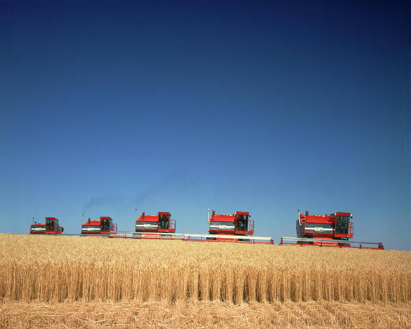 1970s Five Massey Ferguson Combines Art Print