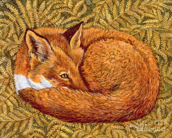 Cat Napping Art Print