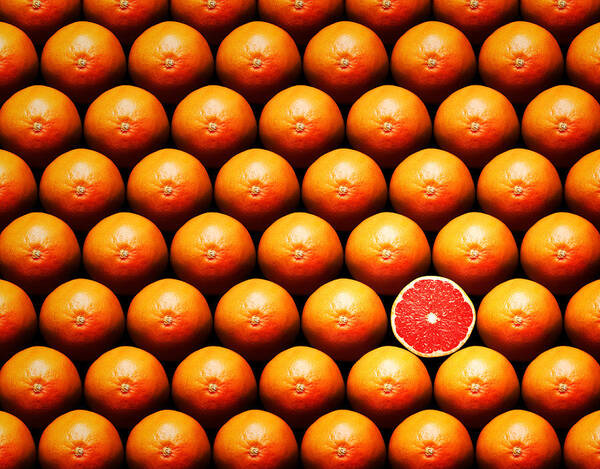 Wall Art - Photograph - Grapefruit slice between group by Johan Swanepoel