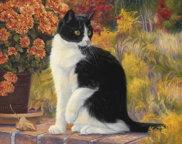 Cat Sitting Among Autumn Flowers Art Print