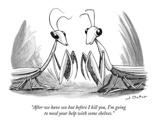 Wall Art - Drawing - Two Praying Mantises Facing Each Other by Joe Dator