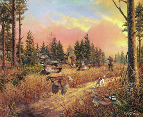Caught In The Open Art Print