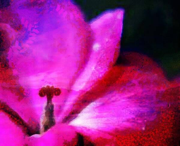  Digital Art - Textured Floral Three by Catherine Lott