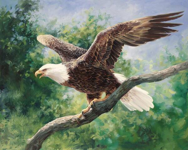 Spread Eagle Paintings for Sale - Fine Art America