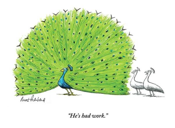 Wall Art - Drawing - A Large Peacock With Its Feathers Out Is Admired by Mort Gerberg