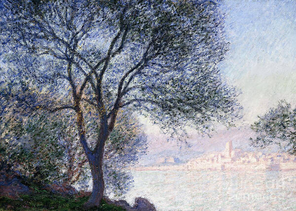 Antibes Seen From The Salis Art Print