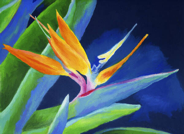 Wall Art - Painting - Bird of Paradise by Stephen Anderson