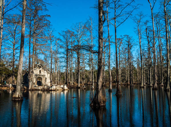  Photograph - Cypress Swamp Groomville, South Carolina by Louis Dallara