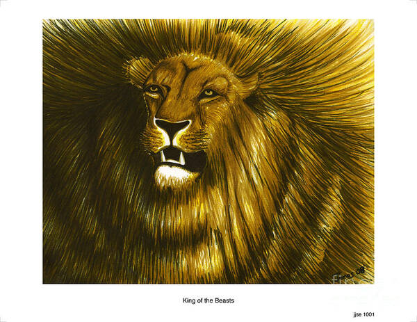 Scratchboard Lion #1 by Laurence Saunois, animal artist