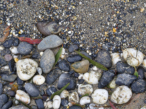 Sand And Rocks On Beach Art Print