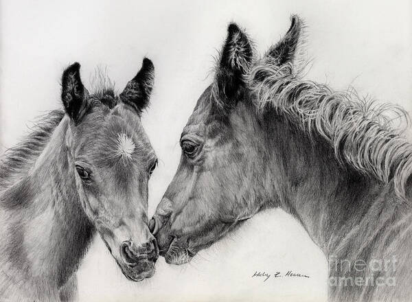 Two Foals Art Print