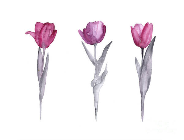 Purple Tulips Watercolor Painting #1 Art Print