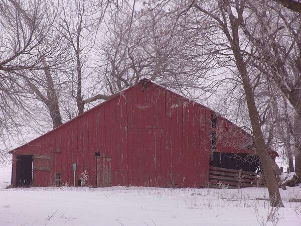 Red Barn Trees Snow Art Print
