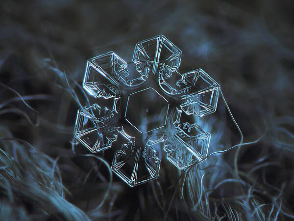 Snowflake Photo - The Core Art Print