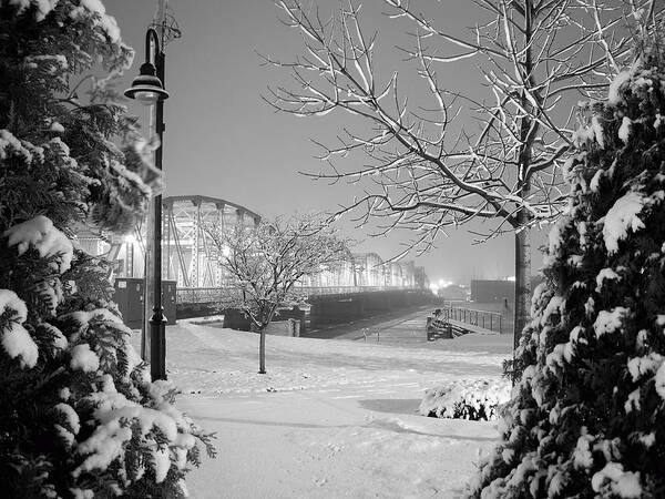 Snowy Bridge With Trees Art Print