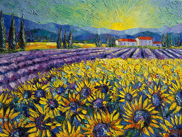 Sunflowers And Lavender Field - The Colors Of Provence Modern Impressionist Palette Knife Painting Art Print