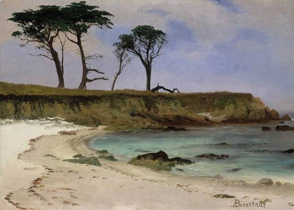 Sea Cove Art Print