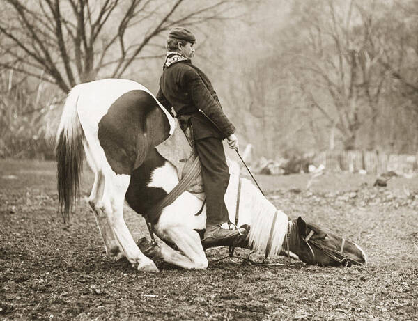 Man Seated On Bowing Horse Art Print