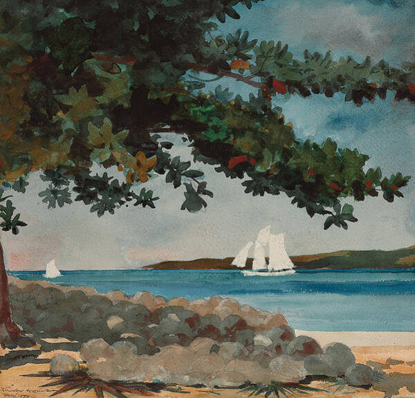 Nassau   Water And Sailboat Art Print