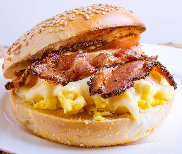 Wall Art - Photograph - Breakfast Sandwich by Edward Fielding