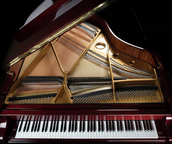 Wall Art - Photograph - Grand Piano Overview, Keyboard by Dszc