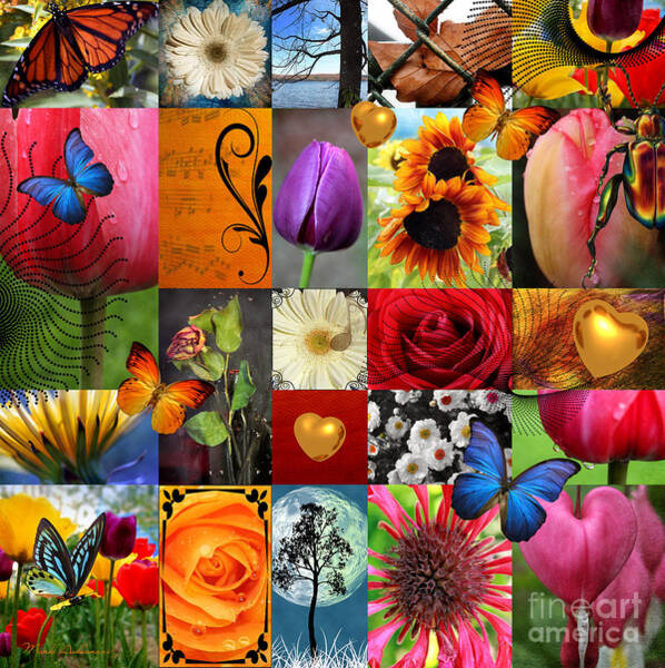 Wall Art - Photograph - Collage of happiness  by Mark Ashkenazi